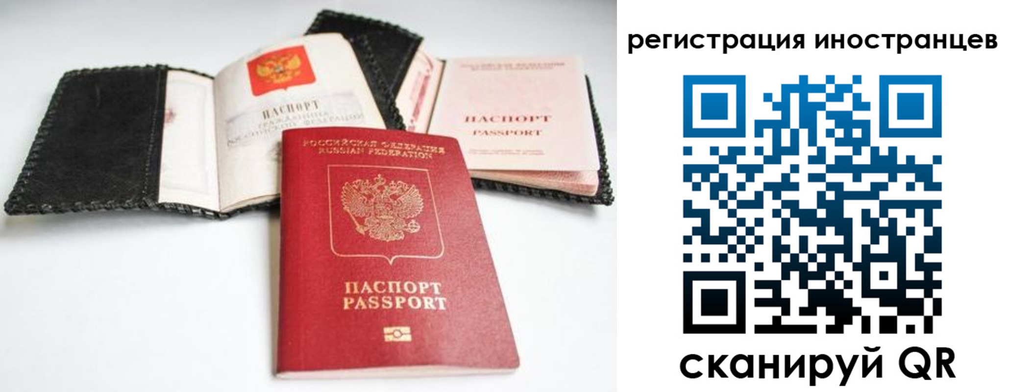 прописка гарантия в Новоузенске